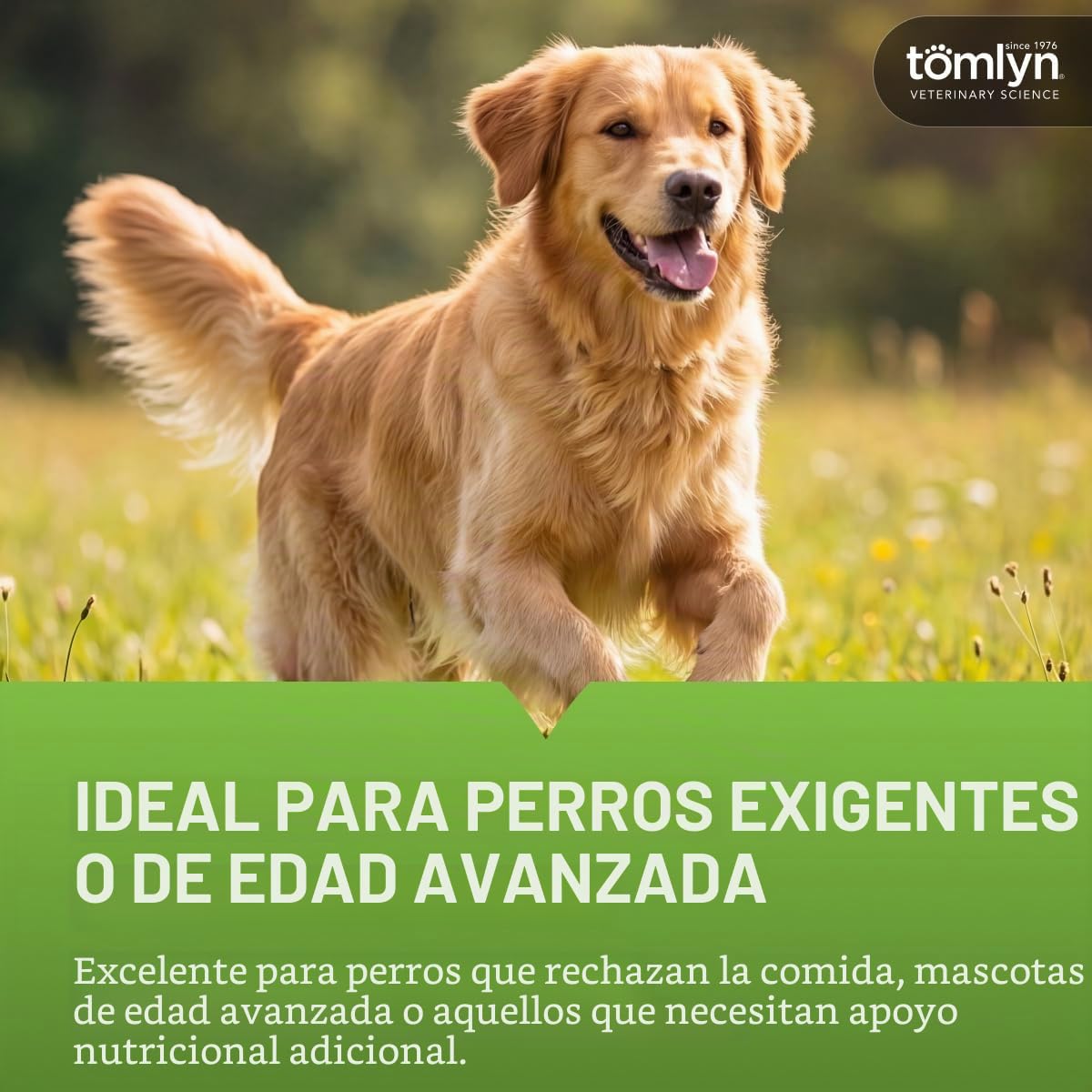 TOMLYN Gel nutricional de Alto Contenido calórico para Perros, (Nutri-Cal) 4 oz