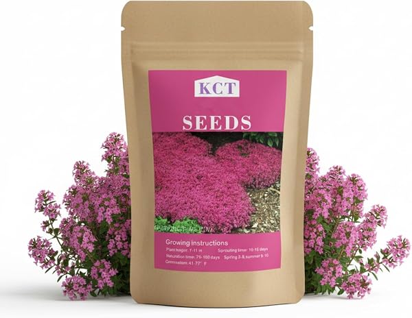 20,000+ Creeping Thyme Seeds Ground Cover, Non-GMO Perennial Flower Seeds, Hardy Thymus Serpyllum, Creeping Phlox Altern