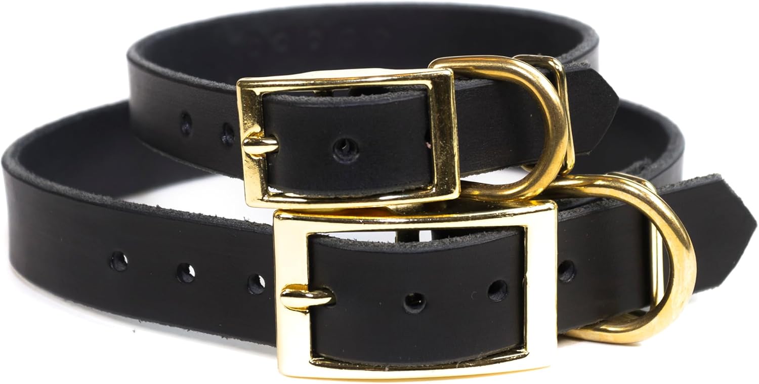 Handmade Personalized Spiked Bridle Leather Dog Collar, Gold/Brass Tone Spike Rivets, Embossed Name (Black)