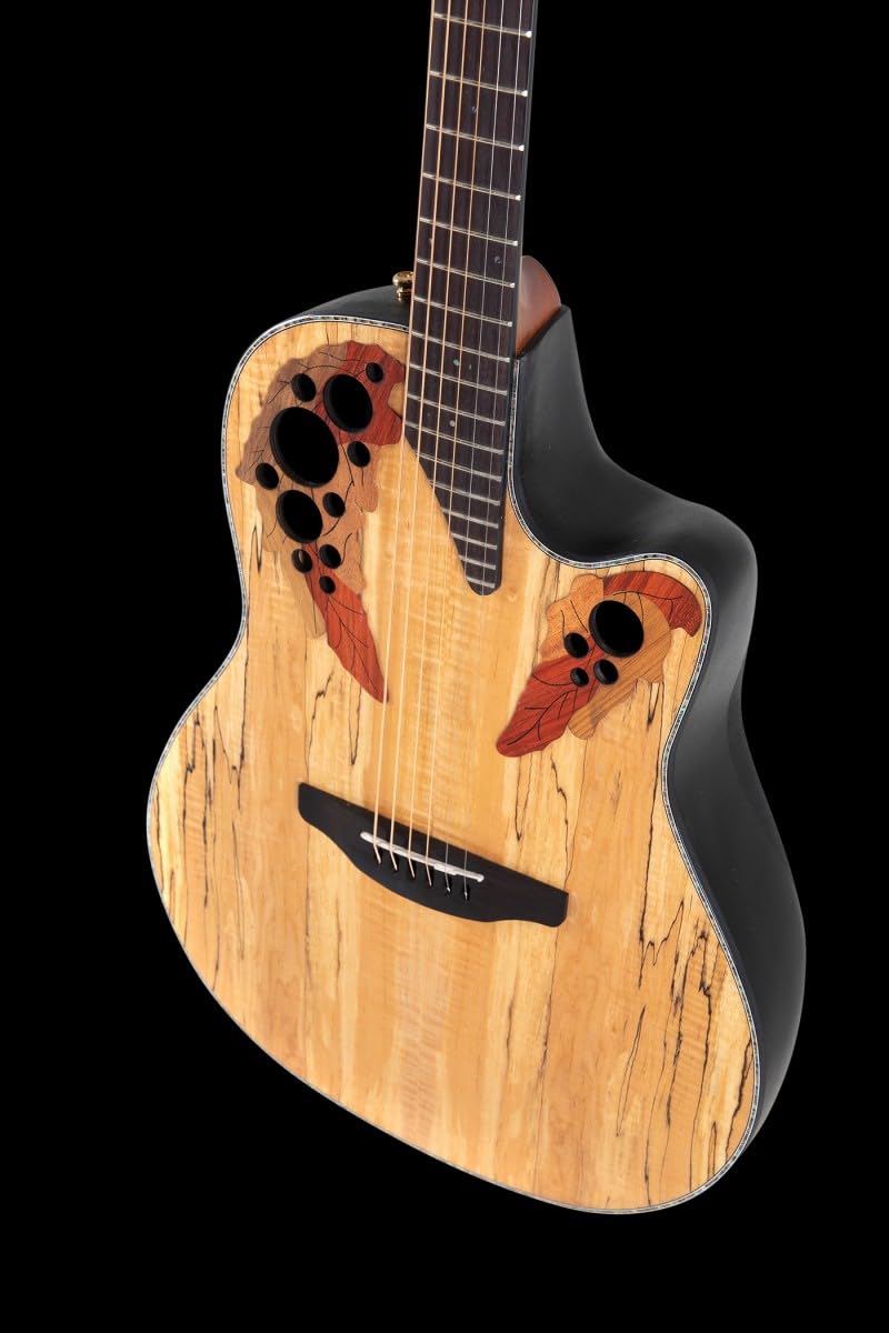 Amazon | Ovation Celebrity CE44P-SM-G エレアコギター 