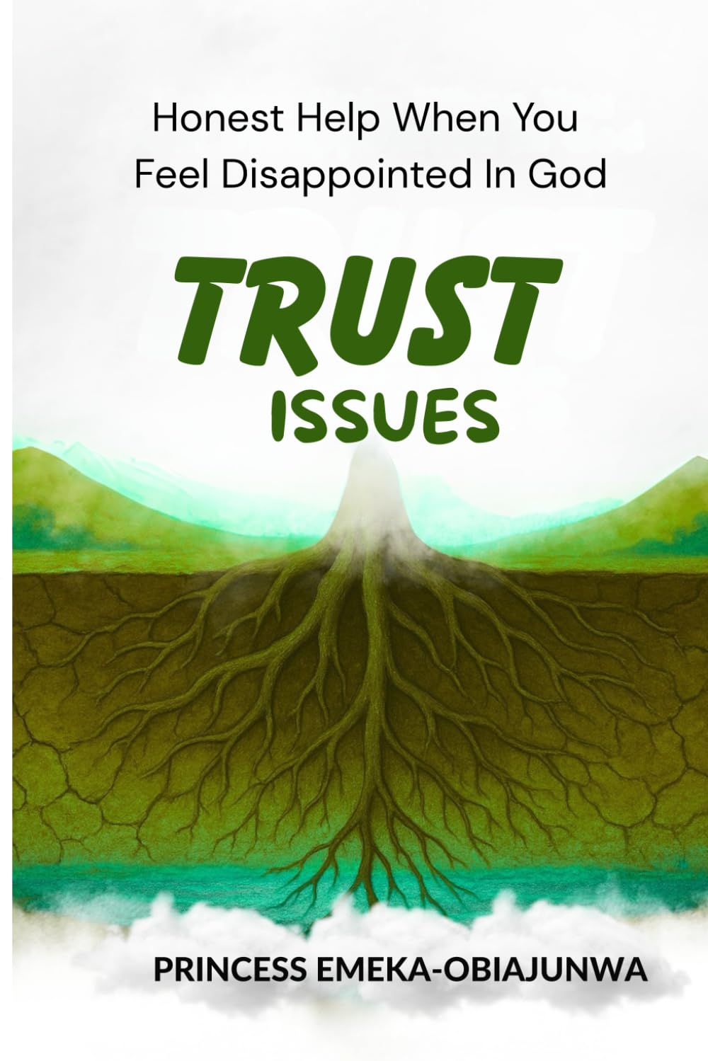 TRUST ISSUES: Honest Help When You Feel Disappointed in God