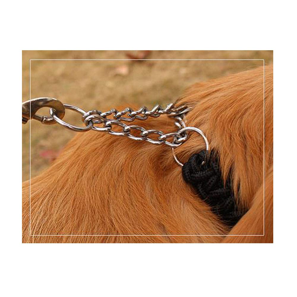 REYG Laisse De Dressage pour Chiens Laisse De Dressage pour Chiens à Double Extrémité pour Collier De Tête Et Harnais sans Tirette Laisse De Dressage Noire pour Petits Chiens Et Chiens,Black