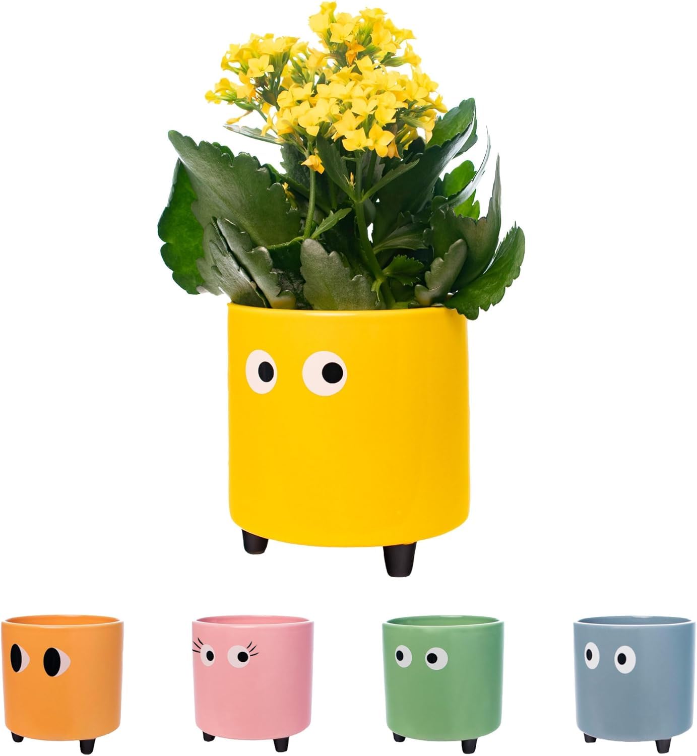 Fisura - Original Eyes Plant Pot - Indoor Ceramic Planter with Legs for Cactus & Succulents, Decorative Flower Pot, Gift Idea for Plant Lovers, 13 x 12.5 cm (Yellow)