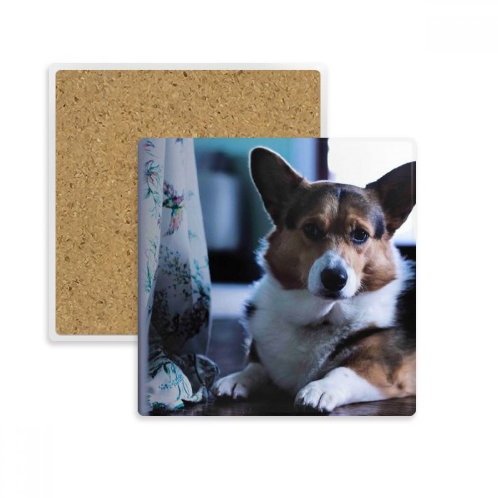 Dessous de verre Corgi absorbant pour éliminer les taches d'eau sur vos tables