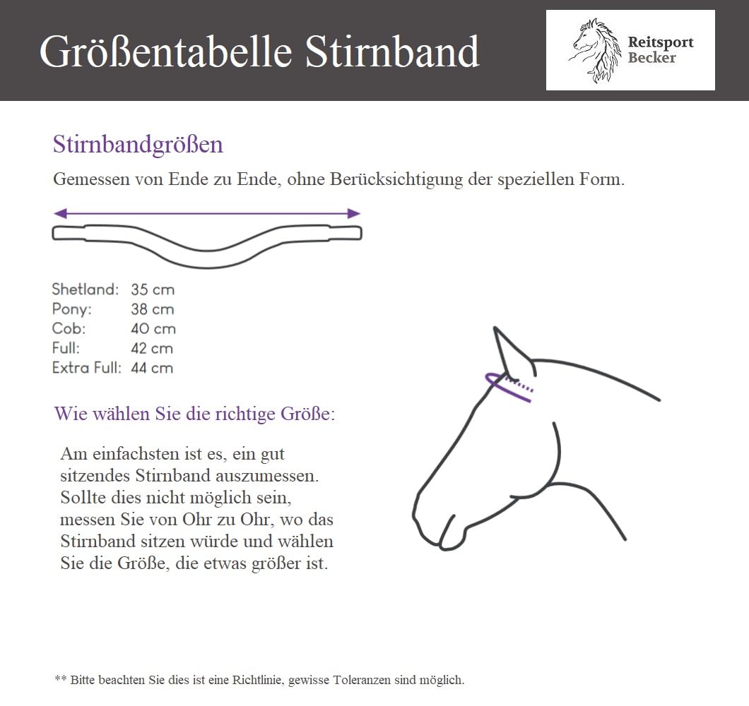 NETPROSHOP Leder Stirnriemen Alyssum mit Strasssteinchen für Trense Shetty Pony Cob Full, Groesse:Cob, Farbe:Schwarz/Dunkelblau