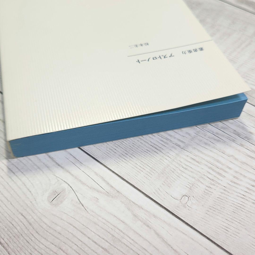 Amazon.co.jp: レアアストロノート (叢書重力)｜松本圭二 : おもちゃ