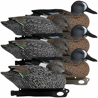 Hardcore Waterfowl Rugged Series Blue-Winged Teal Decoys - 3 Drakes and 3 Hens