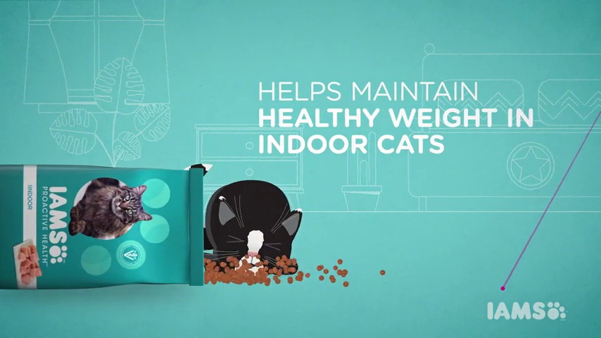 IAMS PROACTIVE HEALTH Adult Healthy Dry Cat Food with Chicken Cat Kibble, 7 lb. Bag - Image 8