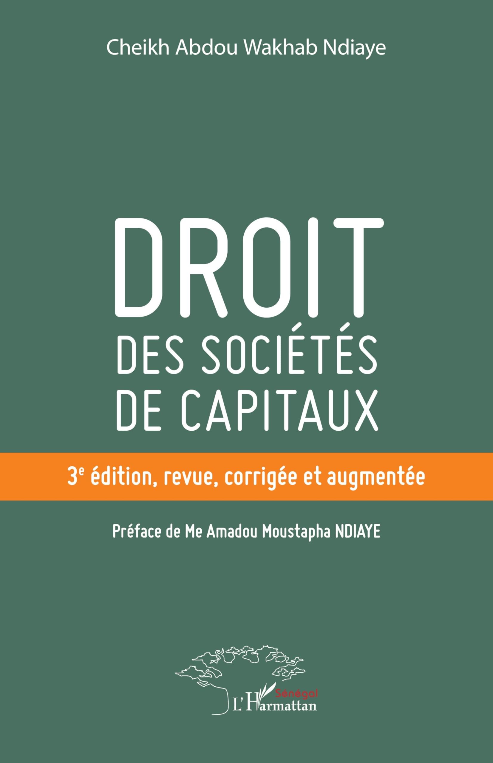 Droit des sociétés de capitaux: 3e édition, revue, corrigée et augmentée