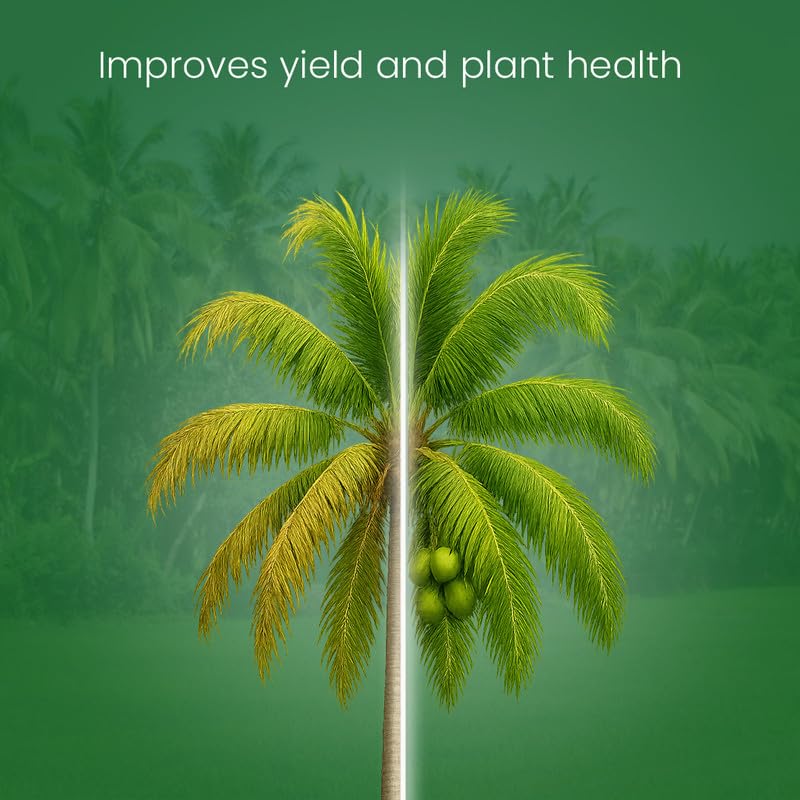 Image of Maxicrop Plus Homeopathic Solution for Enhanced Growth and Yield in Large Fruit Trees, Suitable for Coconut, Mango, Jackfruit, Nutmeg, and Other Large Trees (100 Gram)