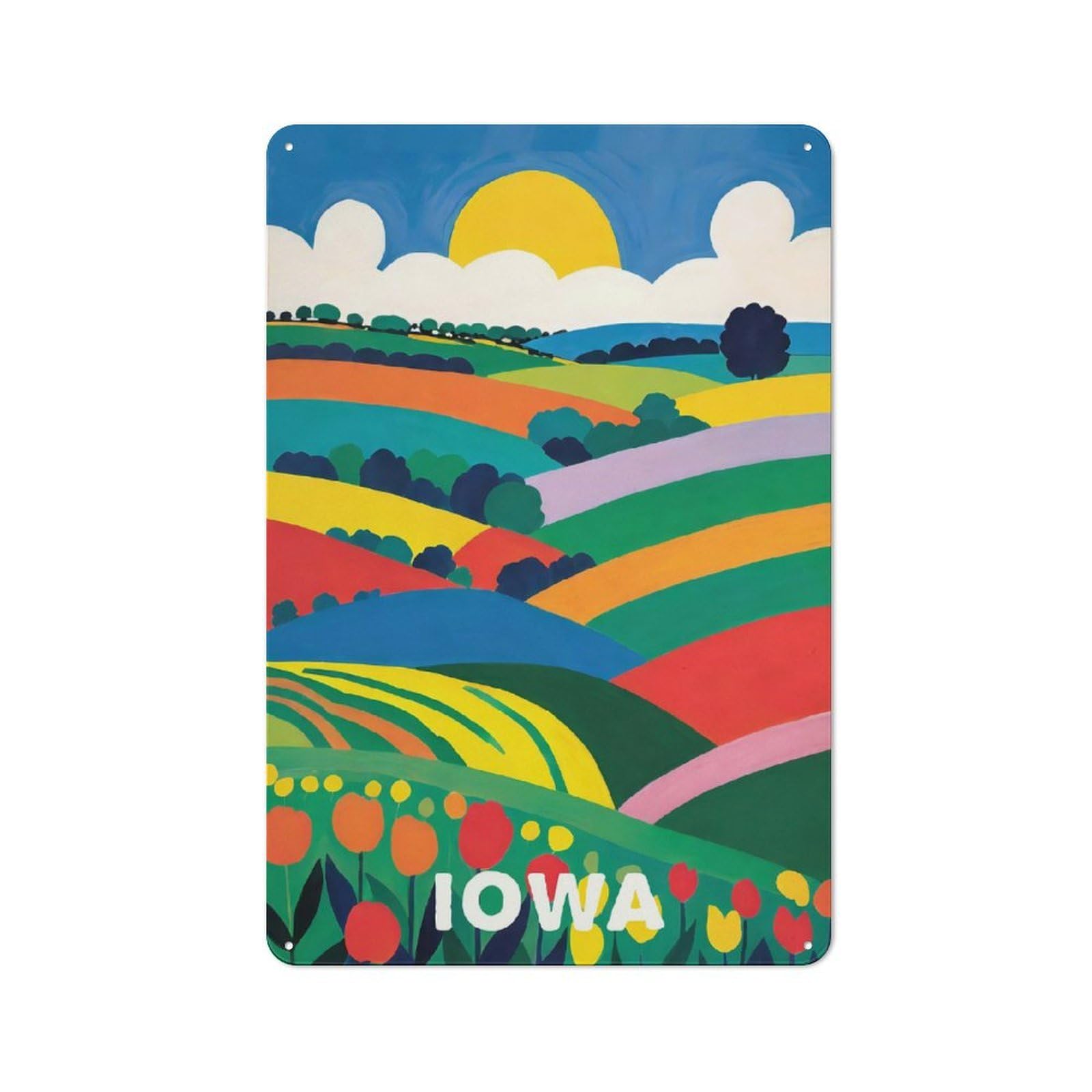 Junmoney Style-10 Classic Colorful Iowa Retro Art Metal Gift Sign 30X20cm, Small Space Decor For Home, Shop, Pub Or Studio Wall