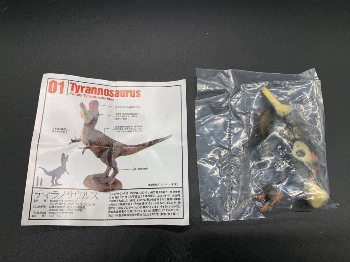 【希少！】恐竜模型図鑑 海洋堂C.C.ザウルス　DINOTALES-5　　40体 Amazon.co.jp: 恐竜模型図鑑 海洋堂 C.C.ザウルス 白パッケージ