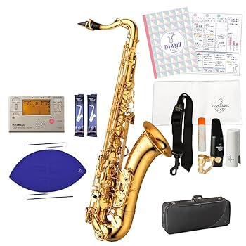 YANAGISAWA ヤナギサワテナーサックス　TWO10 YANAGISAWA T-WO2 テナーサックス ブロンズブラス製 ライト仕様