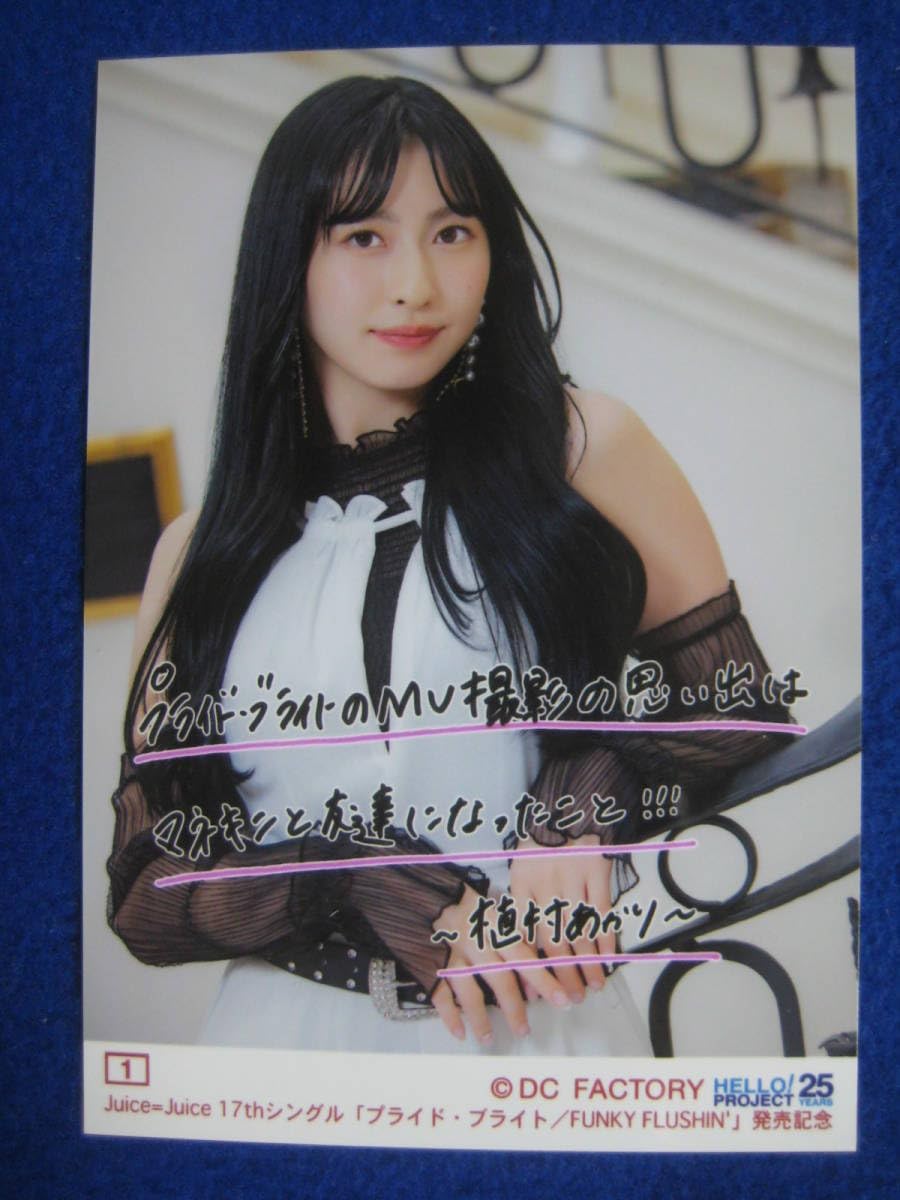 なっきい　植村あかり コレクション写真 Amazon.co.jp: 7/12 コレクション写真 L判 #1 植村あかり 17thシングル