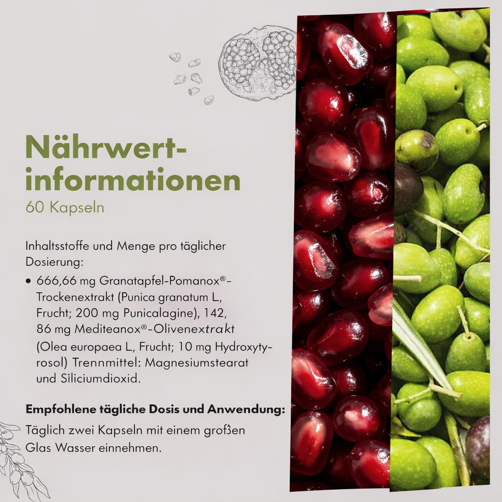 Granatum Plus - Punicalagin und Hydroxytyrosol - Granatapfel- und Extra Natives Olivenölextrakt - Antioxidativ und Entzündungshemmend - Hautpflege - Spanien - 1 Box 60 Kapseln