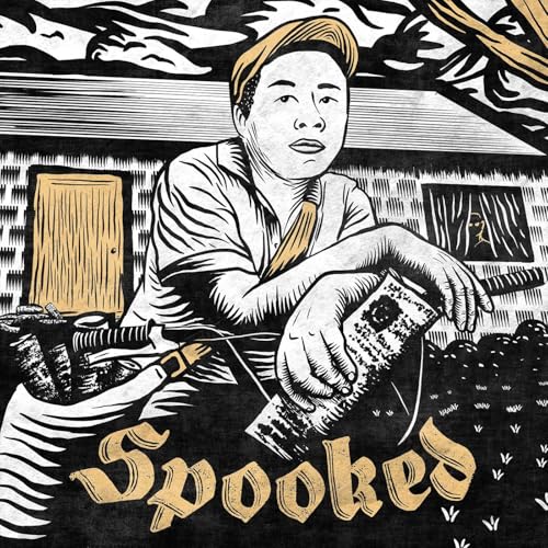 The Paperboy - Classic