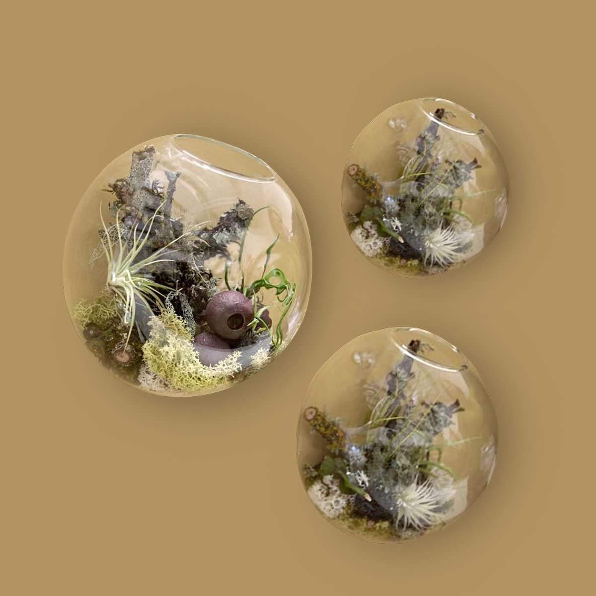 Kit d'aquarium Ensemble de 3 terrariums à accrocher au Mur Plantes d'intérieur, Vase en Verre Fleurs Mur succulentes, Plantes aériennes, Mur véranda Salon
