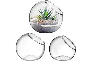 IMIKEYA Glass Terrarium Planter Bowl