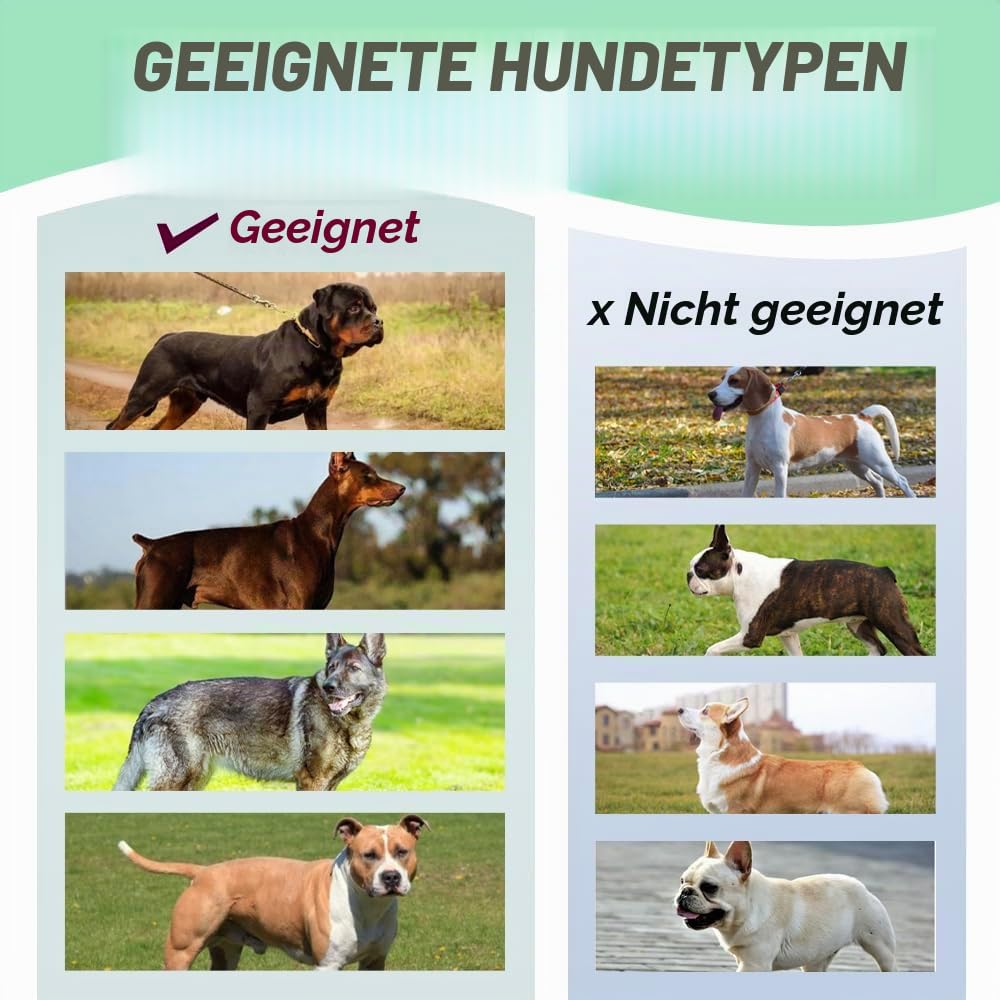 TSPRO Schweres Taktisches Hundegeschirr für Mittelgroße bis Große Hunde | Robustes Material, Schnellverschluss, Gepolsterter Griff, 3,8 cm Breit, Verstellbar, Zugfreies Design, Ideal für Spaziergänge