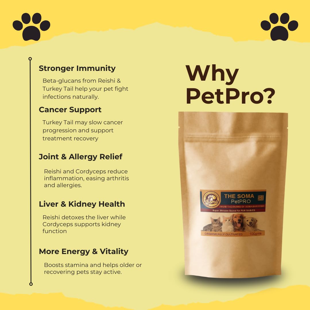 Somashrooms India's First 6-Powerful Shrooms Wellness for Our Fur Babies | Vitality | Canine Nutritionist Approved | Choice of Pet Parents 3