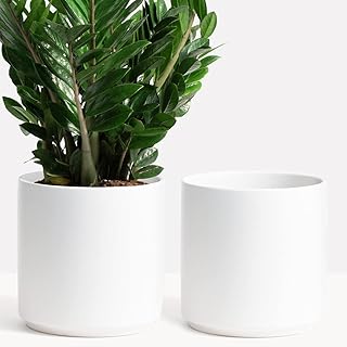 Sponsored Ad - PEACH & PEBBLE 7 Inch (Set of Two) White Ceramic Planter. Classic Cylinder Plant Pot for House Plants and I...