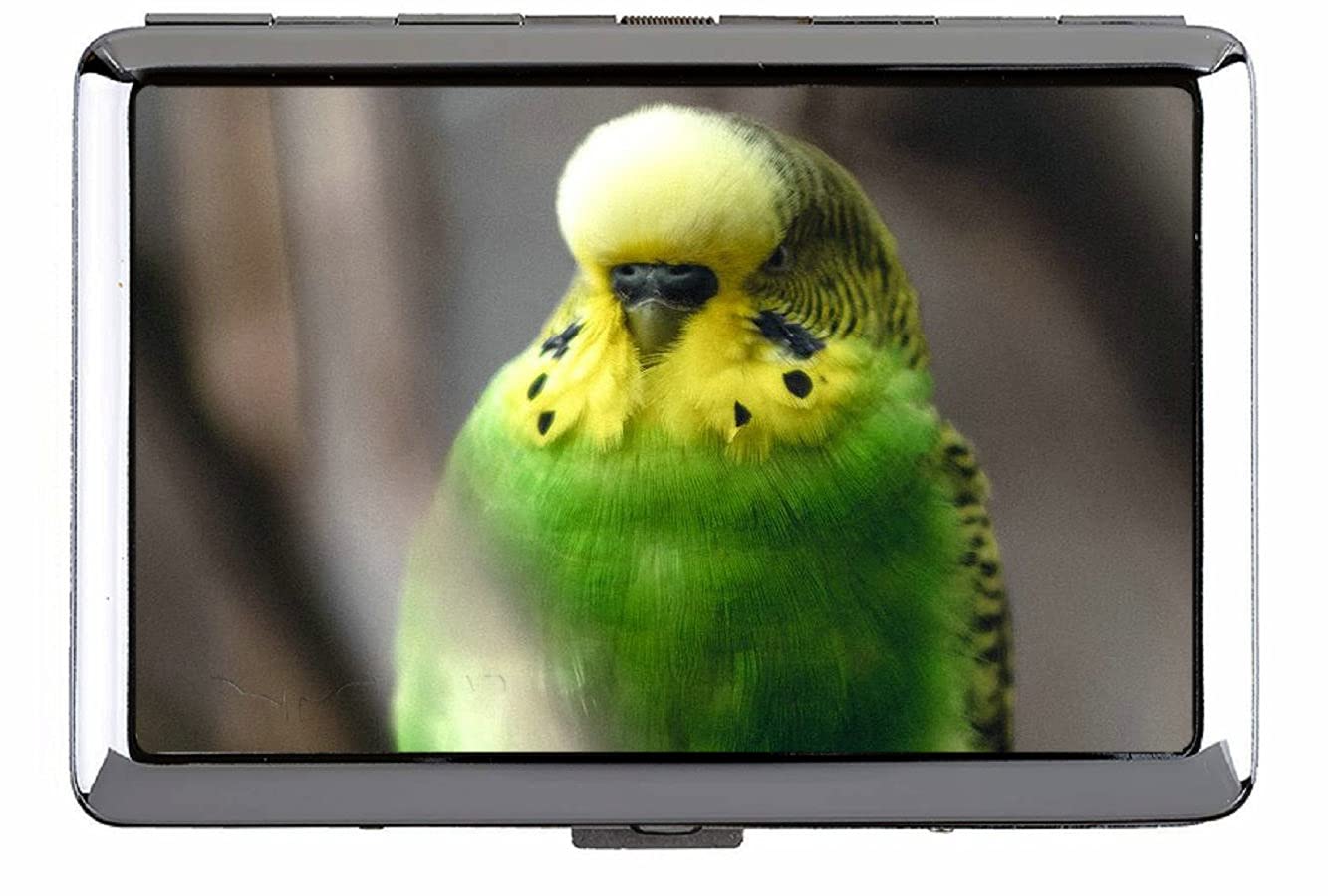 YENDOSTEEN Hard Box Full Pack Cigarette Case,Parakeet Parrot Bird Clip Open Pocket Holder For 267 Cigarettes C104