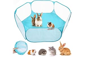 PrimePets - Dwarf Hamster Dream Home