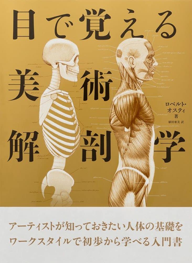 オックスフォード　美術解剖図説 Amazon.co.jp: オックスフォード美術解剖図説 : スティーブン R