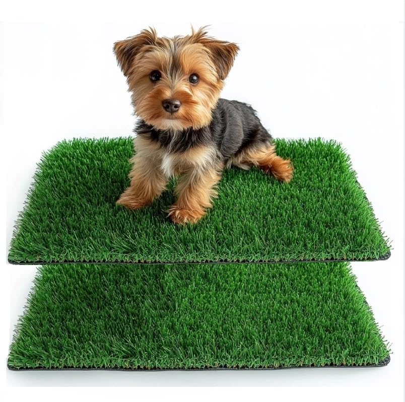 SSRIVER 38*50CM Hundeklo für Zuhause & Hundetoilette Balkon Welpen Training Hundetoilette Ersatzrasen mit Kunstrasen Outdoor Ideal für Wohnung & Balkon