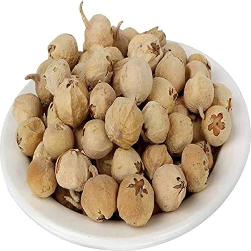 THAKAR Paneer Dodi 100g | Paneer Seeds/Pods | Natural Ayurvedic Herbal Product | Supports Immunity, Digestive Health & Overall Wellness | Herbal Remedy for Vitality & Wellbeing