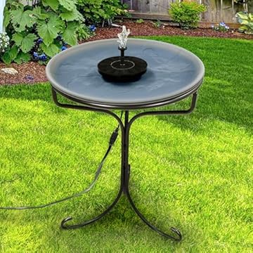 best solar heated bird bath