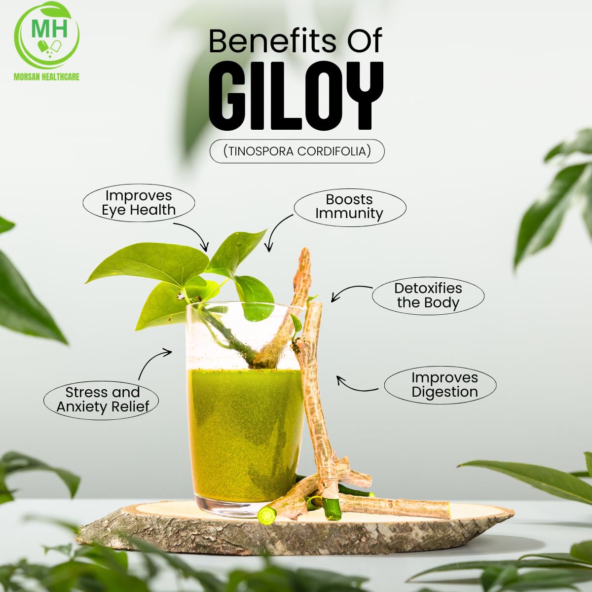 Giloy Capsules 500mg – 60 Count | 1 Pack | Vegetarian | Plant-Based | Herbal Supplement | No Artificial Additives | Gluten Free | organic | — Amazon image 5