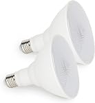 Radar Motion Sensor Light Bulb, 2 Pack A21 15W (100W Equivalent) 1500LM E26 Dusk to Dawn LED Bulbs Outdoor Lighting, Auto Motion Detector Light for Garage, Porch, Driveway, Patio,(Daylight 5000k)