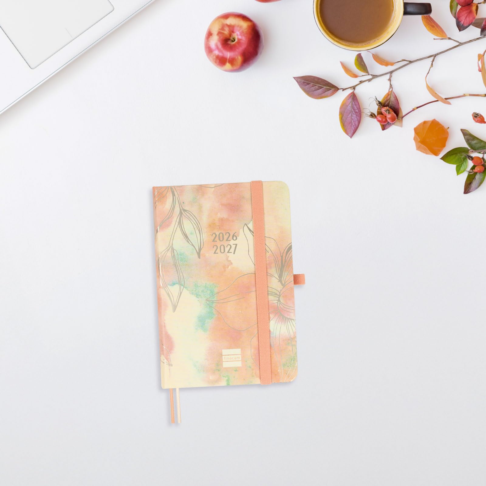 View 3