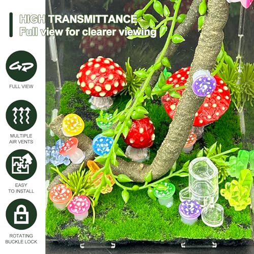 Image of Jumping Spider Enclosure,DIY Insects Habitat,Small Reptile Terrarium Glass House Accessories Set,with Temperature and Humidity Detector Water Feeder Platform Hide,5.5 inchx5.5 inchx9.5 inch (Luminous Mushrooms)