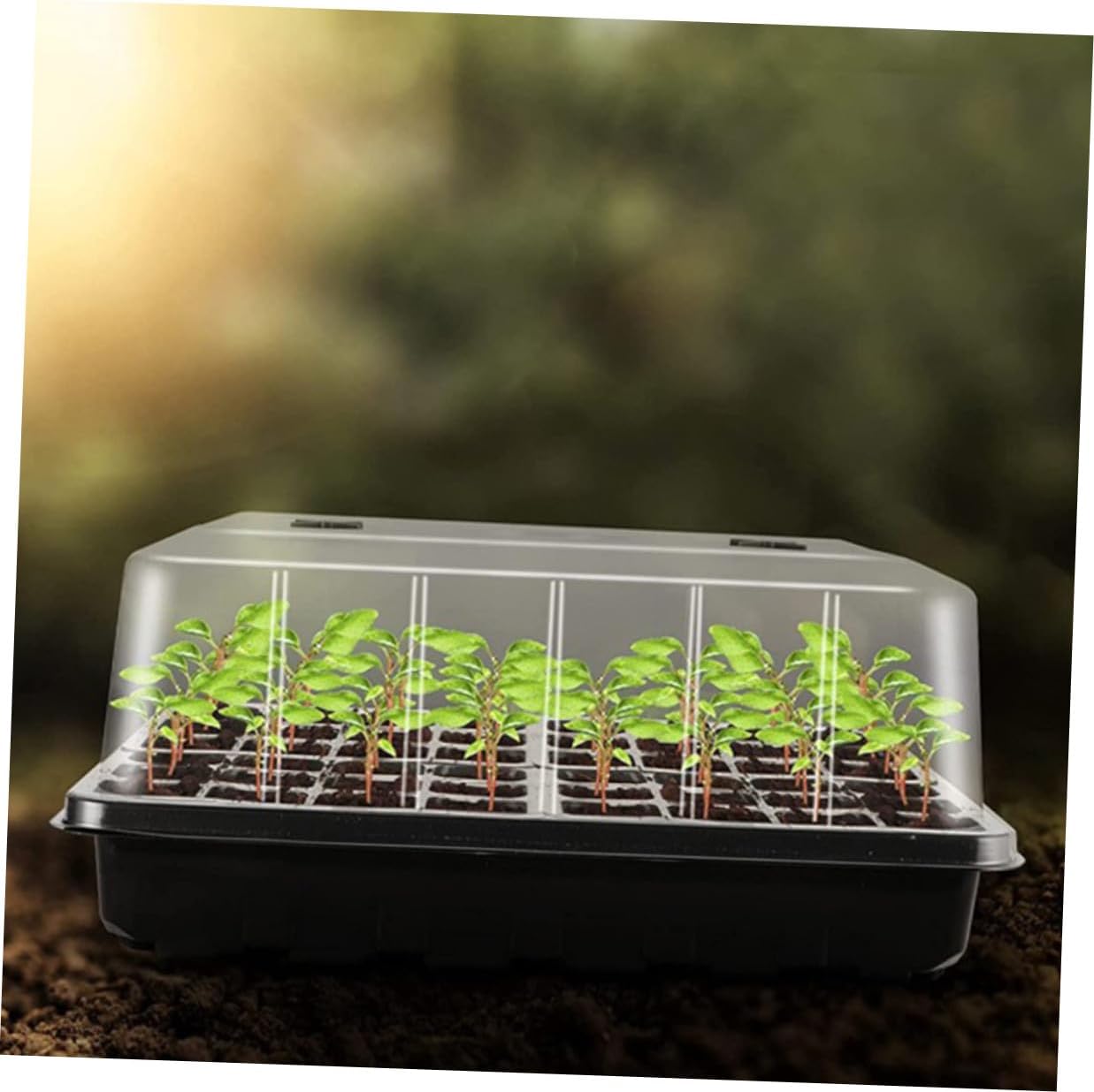 CHILDWEET Seedling Starter Tray with Humidity Dome and Elevated Lid, Germination Plant Propagation Tray Set for Indoor Gardening and Greenhouse Use