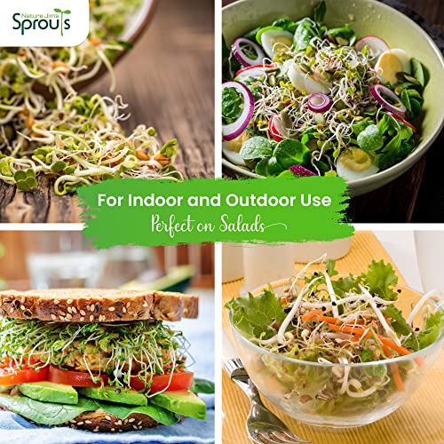 Nature Jims Sprouts Salad Sprout Mix - Organic Salad Mix for Growing - Non-GMO Microgreen Seeds - Healthy Broccoli, Alfalfa, Radish, Clover Sprouting Seeds Variety Mix - Microgreens Growing 1lb - Image 7