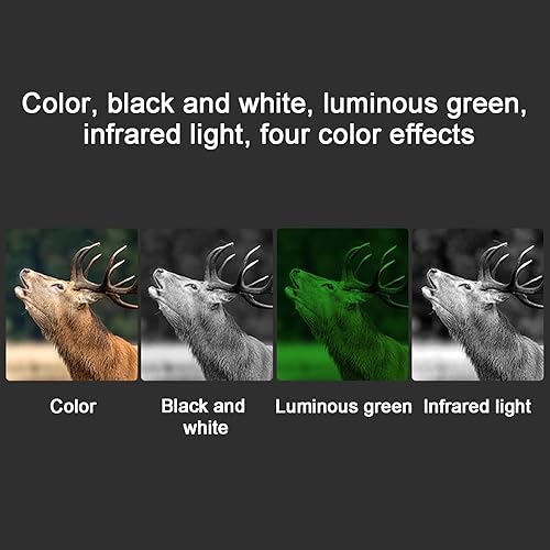 Miniatura 5 de MAYKEA Gafas de visión nocturna binocular montadas en la cabeza, zoom digital 8X, nivel IP54 impermeable, con pantalla TFT Ultra HD de 2.7 pulgadas,