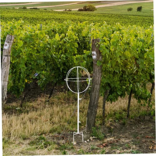 Trellis pour plantes grimpantes robuste avec support de croissance durable - 4