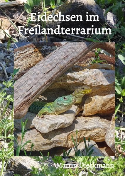 Eidechsen im Freilandterrarium
