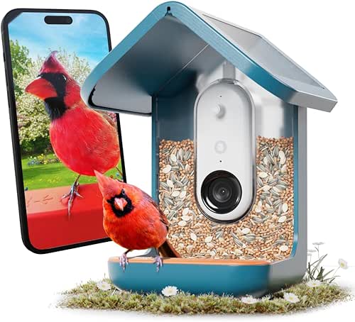 Birdbuddy PRO Solar Smart Bird Feeder with Camera - AI