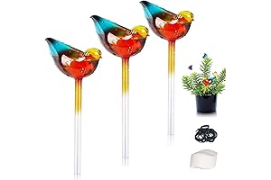 Vivid Bird Plant Watering Globes for Hassle-Free Indoor Plant Care