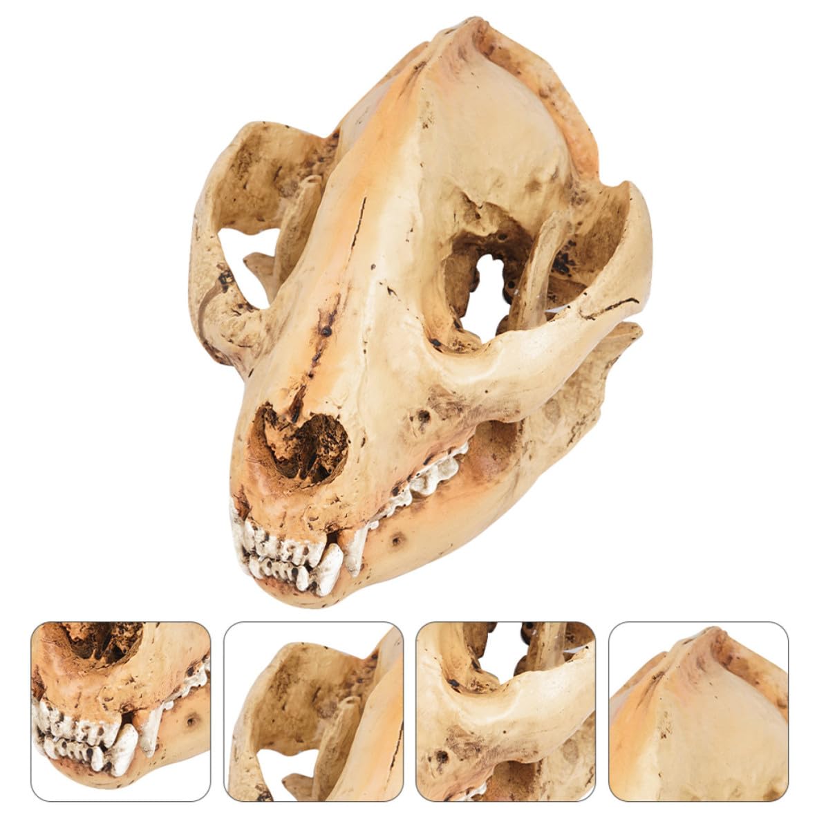 Kichvoe Riproduzione Finitura e Giallo da Panda Resina Teschio in Decorativo Fine per Arredamento Casa Decorazione Festa