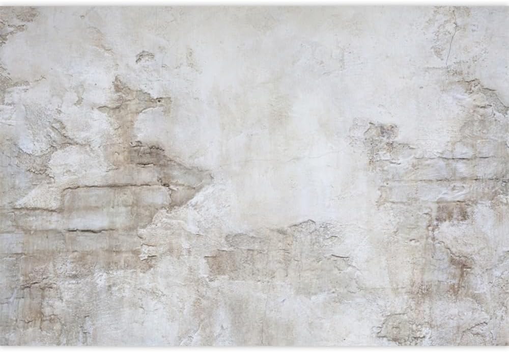 Laeacco Rock Wall Backdrop for Photography 10x10ft Rustic Grunge Stone Wall Background Antique Ingredient Retro Architecture Rough Wall Newborn Baby Shower Birthday Party Decor Photo Studio Shoot Prop