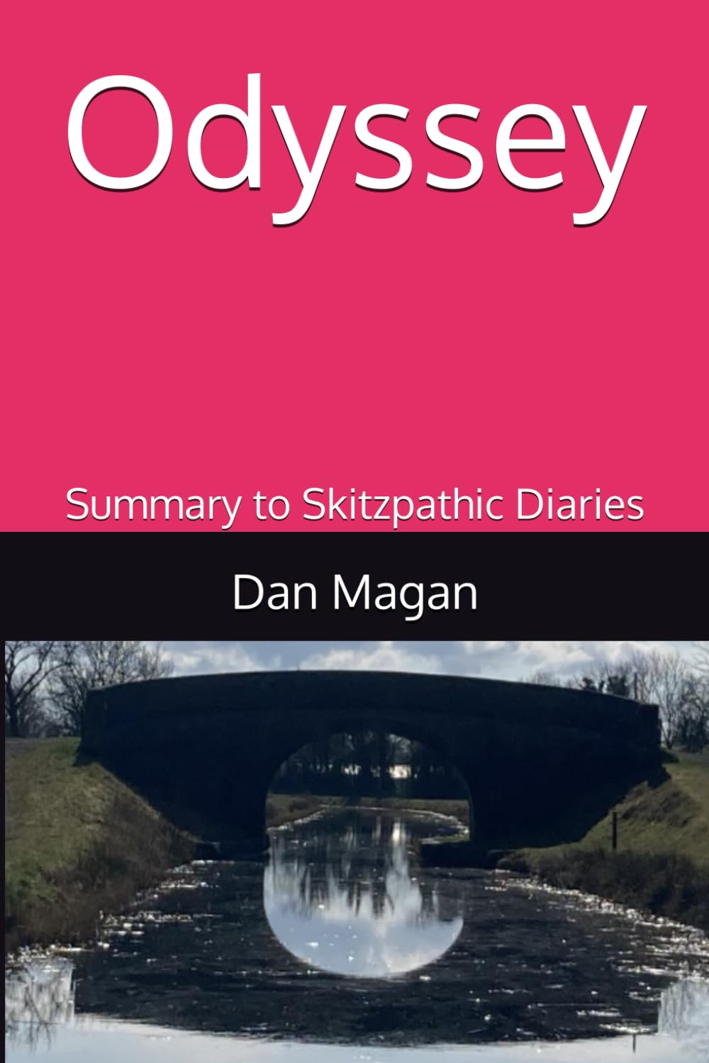 Odyssey: Summary to Skitzpathic Diaries (The Dan Magan Saga)