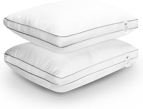 Bed Pillows Queen Size Set of 2 for Sleeping, Cooling Gusseted Pillows Hotel Quality, Soft Down Alternative Plump Filling for Back, Stomach or Side Sleepers, 19 x 29 Inches