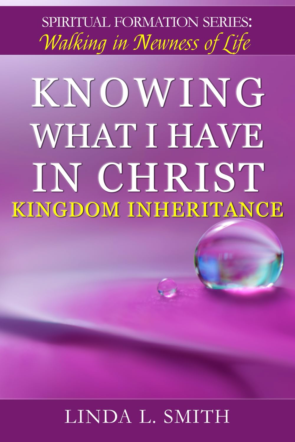 Knowing What I Have In Christ: Kingdom Inheritance (Spiritual Formation Series: Walking in Newness of Life)