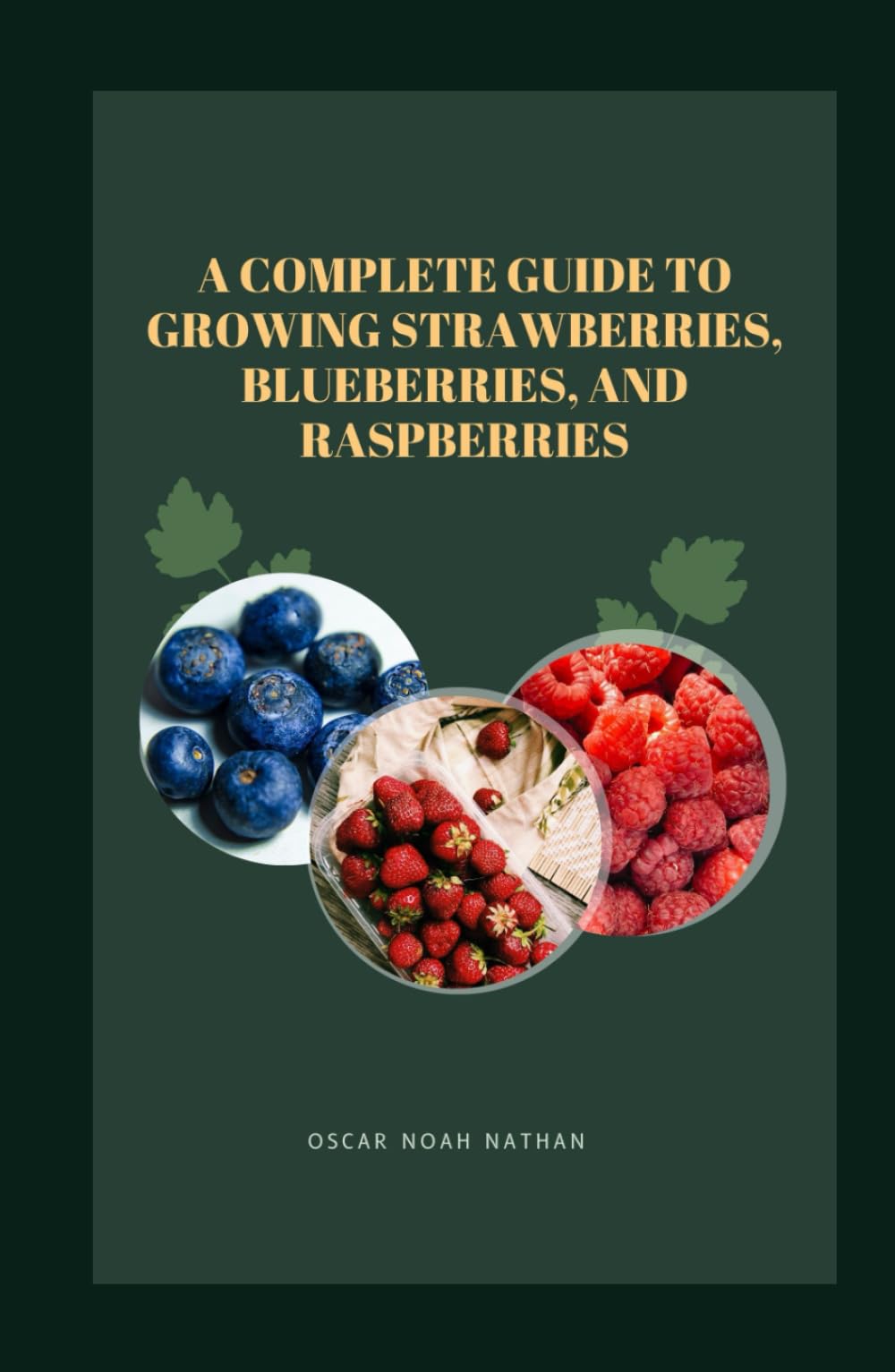 A Complete Guide to Growing Strawberries, Blueberries, and Raspberries