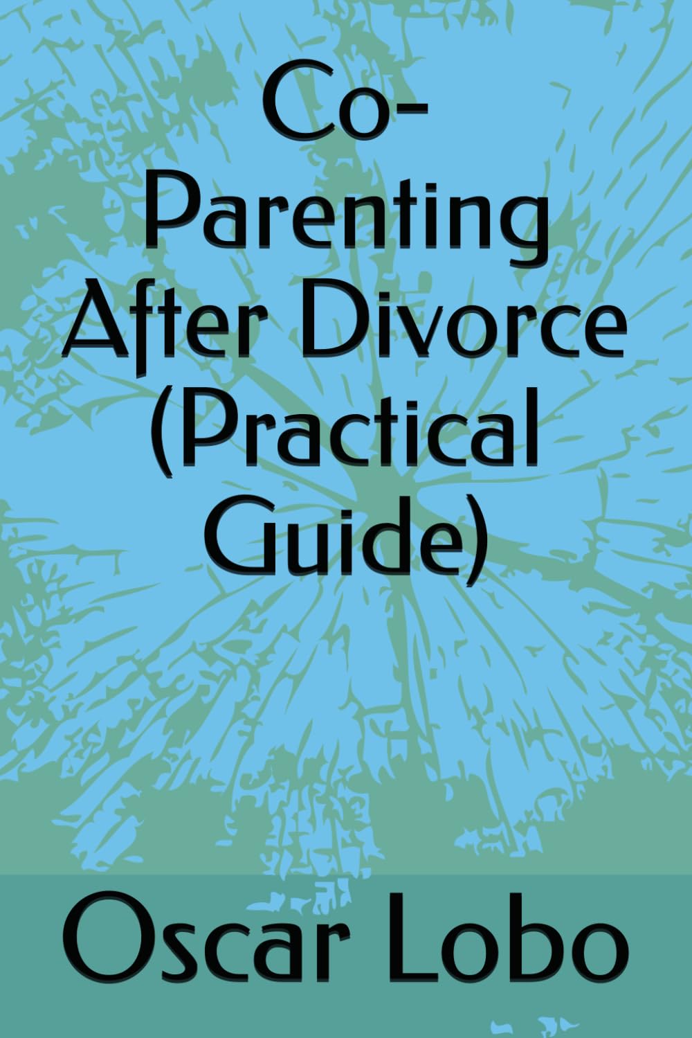 Co-Parenting After Divorce (Practical Guide)