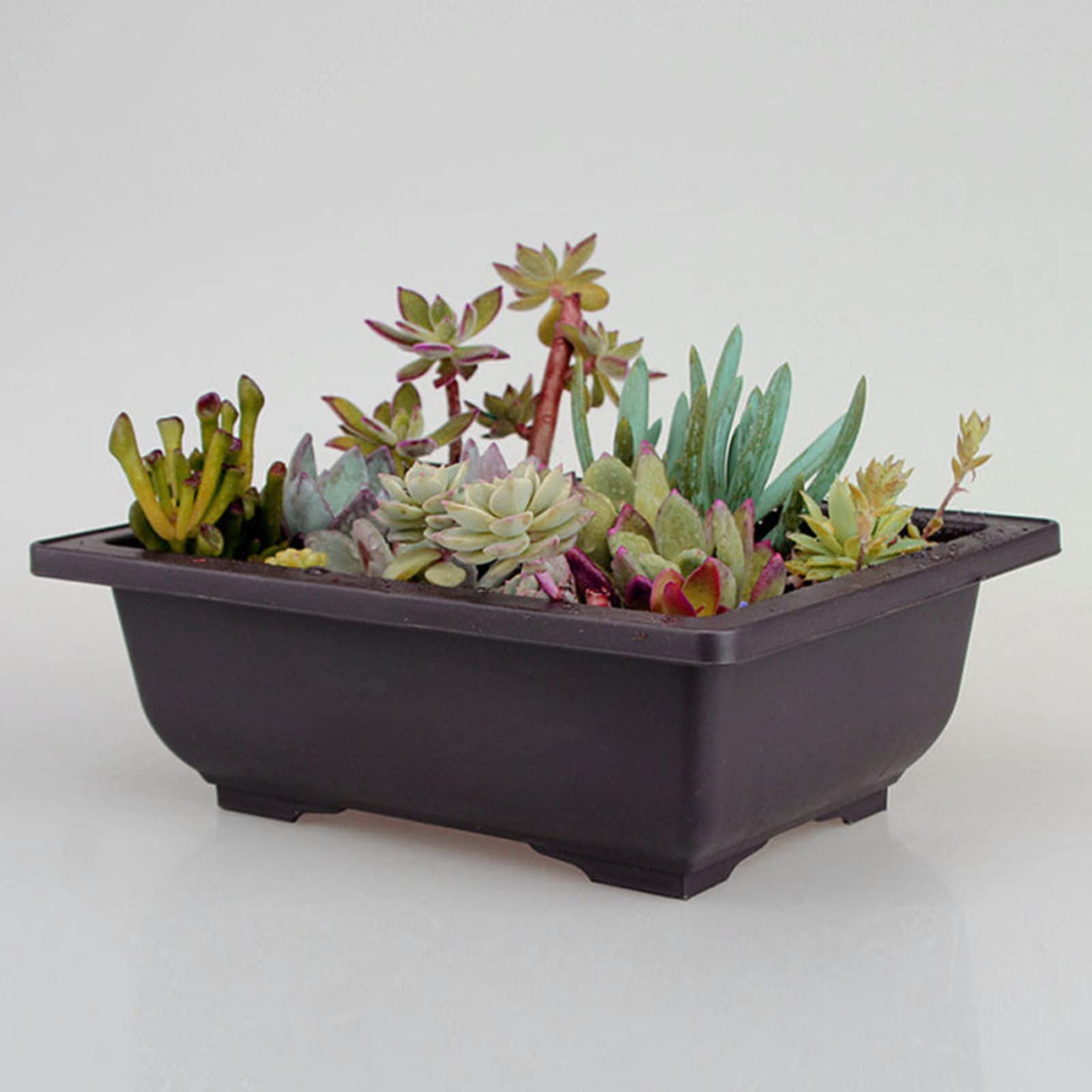 Set 6 Vasi Per Bonsai Rettangolari In Plastica Con Sottovaso, Più Annaffiatoio Da 1L, Per Piante Grasse E Piccole Piante